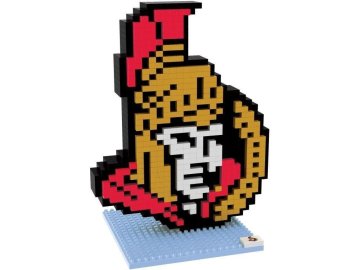 OTTAWA CONSTRUCTION