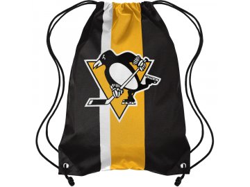 Vak Pittsburgh Penguins FOCO Team Stripe Drawstring Backpack