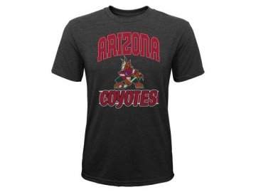 Dětské tričko Arizona Coyotes All Time Great Triblend