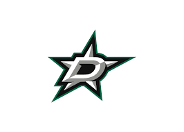 Wincraft Magnet Dallas Stars NHL Akryl Primary Logo