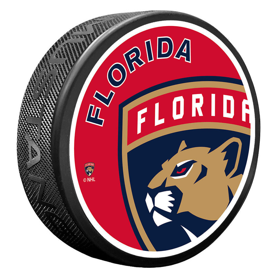 Puk Florida Panthers NHL Icon