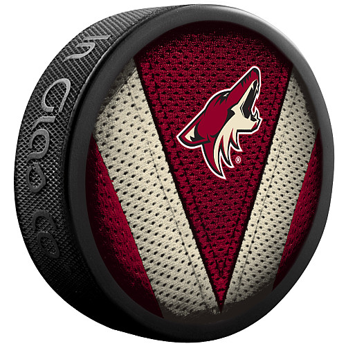 Puk Arizona Coyotes NHL Stitch