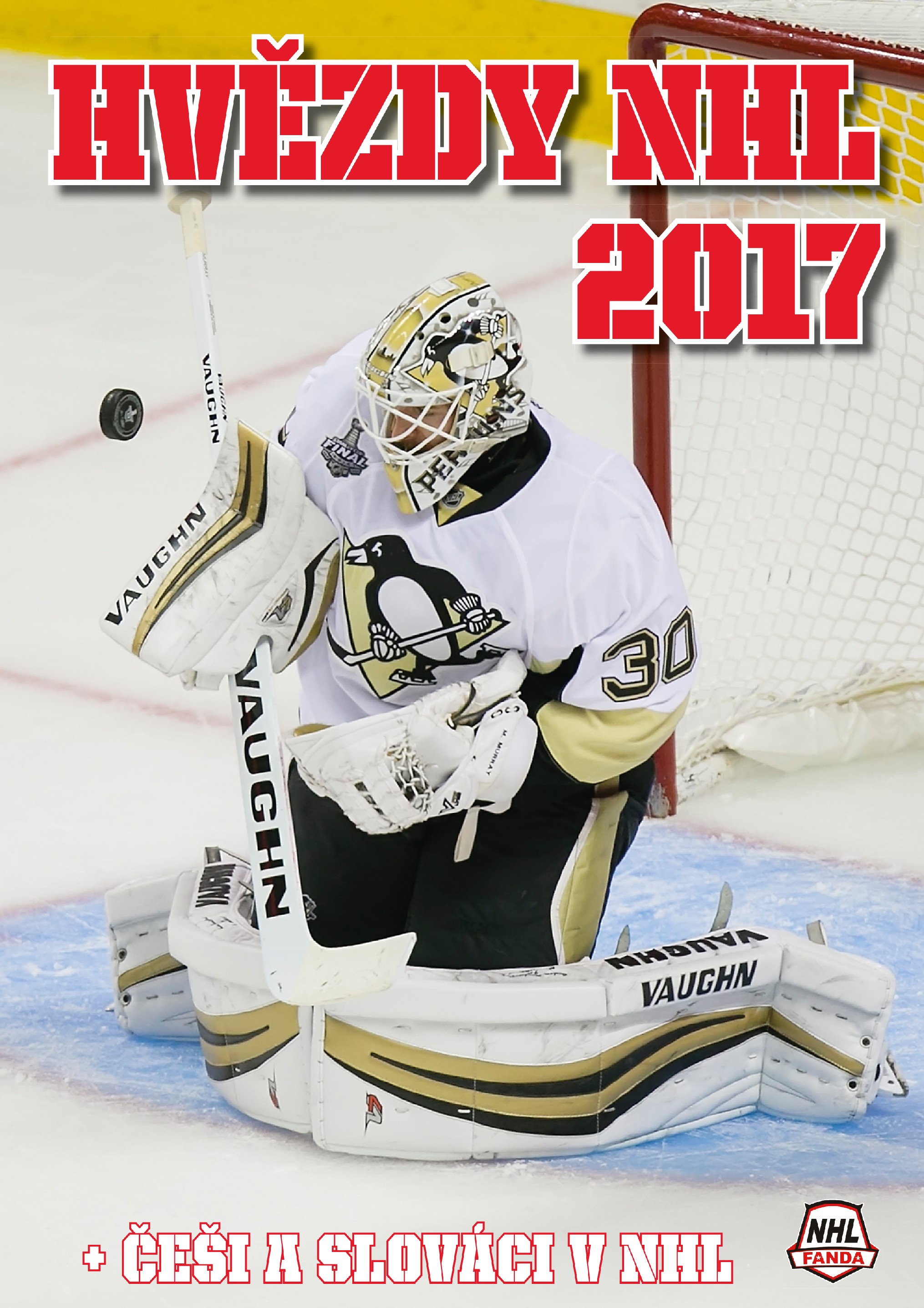 Levně Hvězdy NHL 2017
