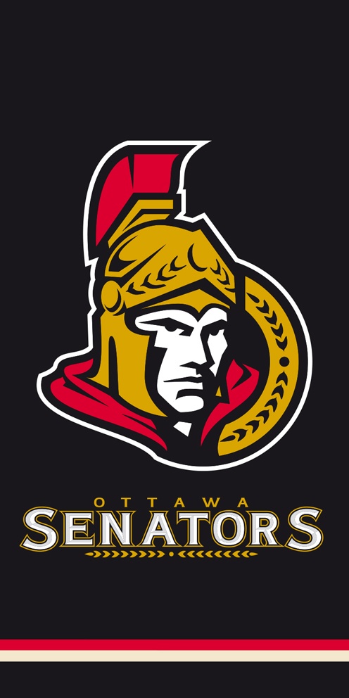 TipTrade Plážová osuška Ottawa Senators Black