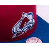 Pánská kšiltovka Colorado Avalanche NHL Team 2 Tone 2.0 Pro Snapback