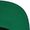 Pánská kšiltovka Hartford Whalers NHL All Directions Snapback