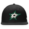 Pánská kšiltovka Dallas Stars NHL Core Snapback