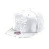 Pánská kšiltovka Chicago Bulls NBA Day One Snapback