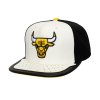 Pánská kšiltovka Chicago Bulls NBA Day One Snapback
