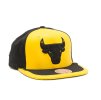 Pánská kšiltovka Chicago Bulls NBA Day One Snapback