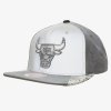 Pánská kšiltovka Chicago Bulls NBA Day 5 Snapback