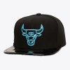 Pánská kšiltovka Chicago Bulls NBA Day 11 Snapback