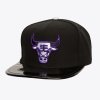 Pánská kšiltovka Chicago Bulls NBA Day 11 Snapback