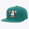 Pánská kšiltovka Anaheim Ducks NHL Splatters Snapback Vntg