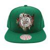 Pánská kšiltovka Boston Celtics NBA Fruit Loops Snapback