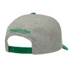 Pánská kšiltovka Boston Celtics NBA Tailsweeps Pro Snapback