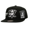 Pánská kšiltovka Anaheim Ducks NHL Trifecta Snapback Vntg