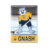 Magnet Nashville Predators NHL Metal Magnet MASCOT