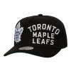 Pánská kšiltovka Toronto Maple Leafs NHL Busted Pro Snapback