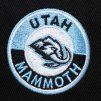 Pánská kšiltovka Utah Mammoth NHL Double Clutch Pro Snapback