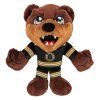 K8 NHL BRU MAS 0001 2048x[1]