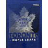 Pánské tričko Toronto Maple Leafs NHL Linear Oblik