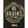 Pánské tričko Boston Bruins NHL Stamp