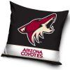 Polštářek Arizona Coyotes NHL