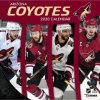 Kalendář Arizona Coyotes NHL 2020 Wall