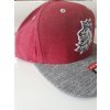 Pánská Kšiltovka Český Hokej Logo Lev CCM Brim Snapback