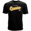 Pánské tričko Pittsburgh Penguins NHL Tail Sweep Tee