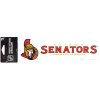 Samolepka Ottawa Senators Logo Text Decal