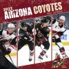 Kalendář Arizona Coyotes NHL 2022 Wall Calendar
