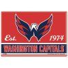 Magnetka na Lednici Washington Capitals NHL