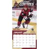 Kalendář Arizona Coyotes NHL 2023 Wall Calendar
