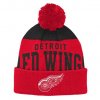 Dětská zimní čepice Detroit Red Wings NHL Stetchark Knit