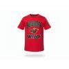 Dětské tričko Minnesota Wild NHL All Time Great Triblend