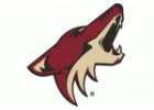 ARIZONA COYOTES