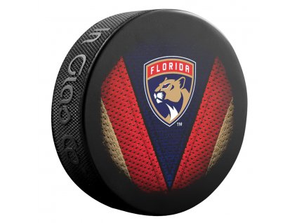 Puk Florida Panthers Stitch