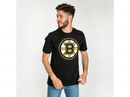 Pánské tričko Boston Bruins NHL Imprint Echo Tee