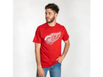 Pánské tričko Detroit Red Wings NHL Imprint Echo Tee