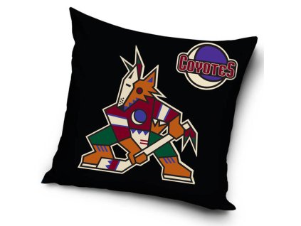 Polštářek Arizona Coyotes NHL Third