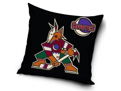 Vankúšik Arizona Coyotes NHL Third