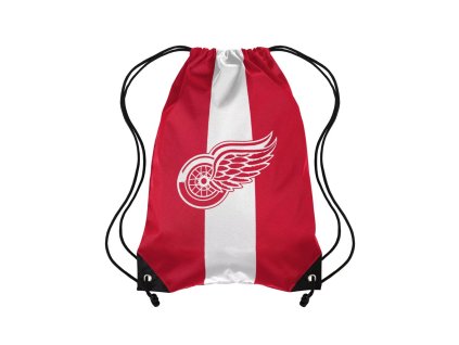 Vak Detroit Red Wings FOCO Team Stripe Drawstring Backpack
