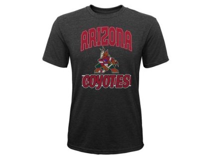Dětské tričko Arizona Coyotes NHL All Time Great Triblend