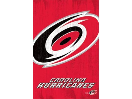 NHL Plakát Carolina Hurricanes Team Logo Cut