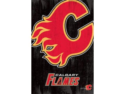 NHL Plakát Calgary Flames Team Logo Cut