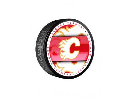 Puk Calgary Flames Medallion Souvenir Collector Puck
