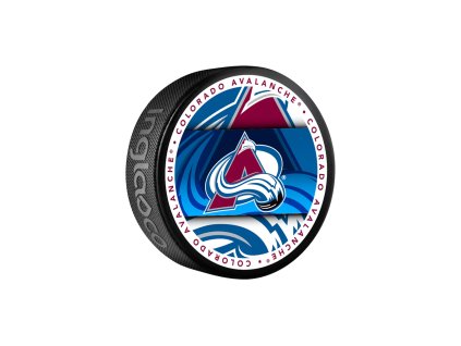 Puk Colorado Avalanche Medallion Souvenir Collector Puck