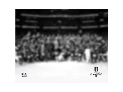 Fotografie Vegas Golden Knights NHL 2023 Stanley Cup Champions Team Celebration Photograph 8x10